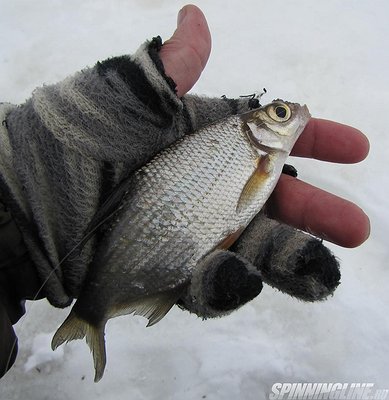 Изображение 1 : Прикормка "Миненко" на зимней рыбалке